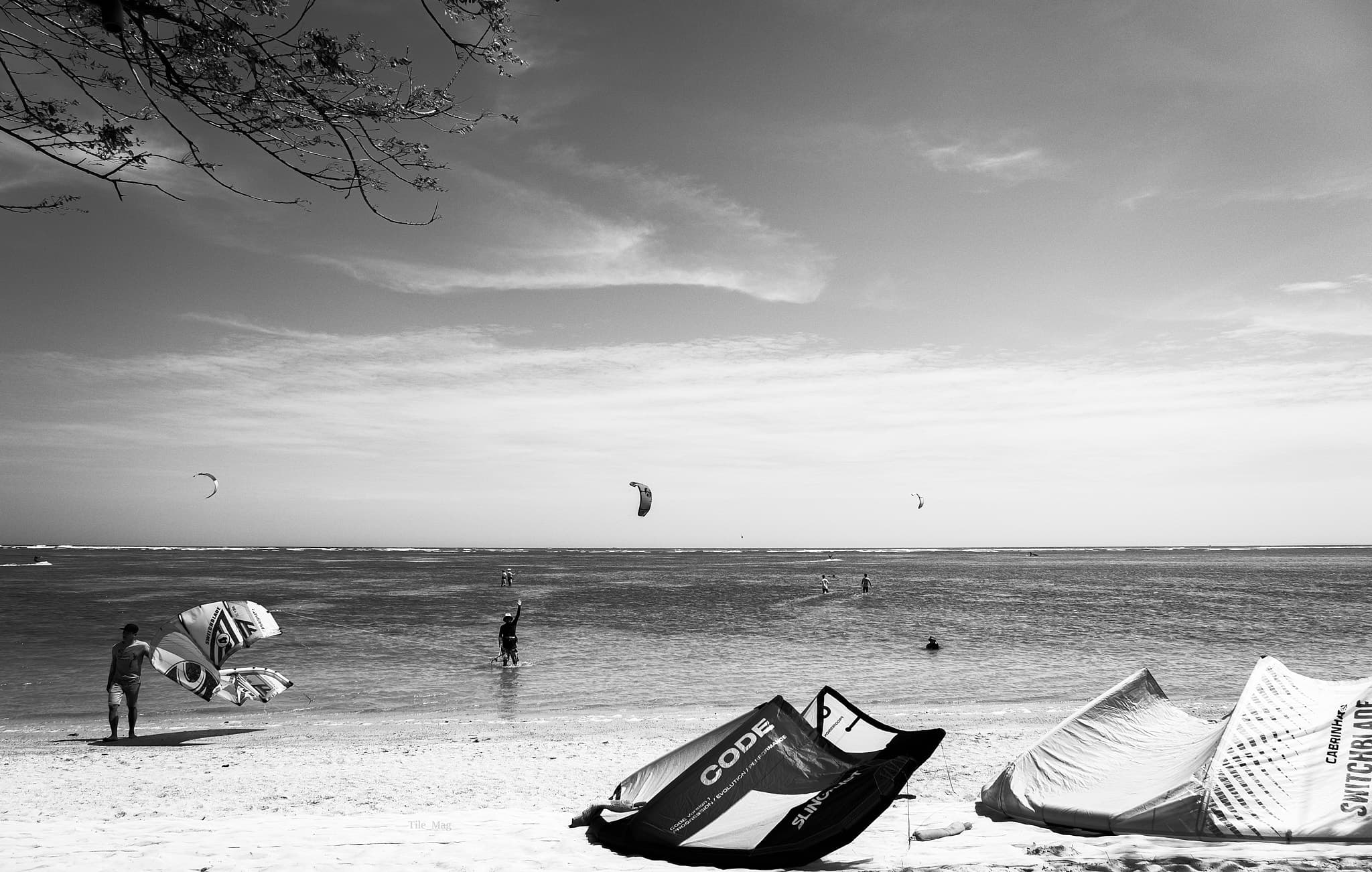 As free as the wing of a seabird.